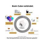 homee Brain Cube